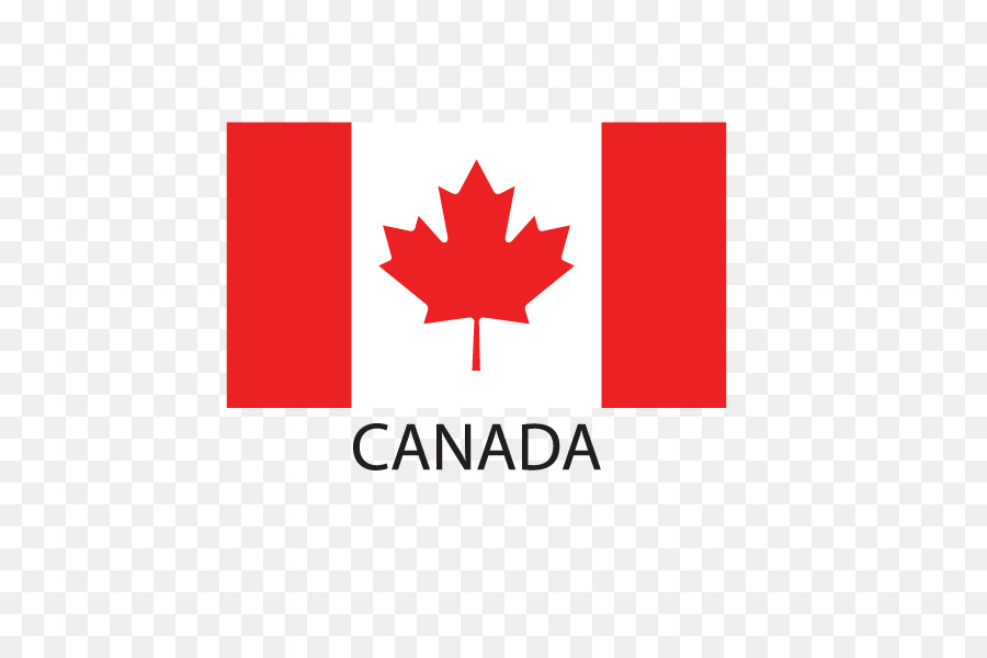 Flag of Canada Maple leaf National flag - Vector Canada png download - 800*600 - Free Transparent Canada png Download.