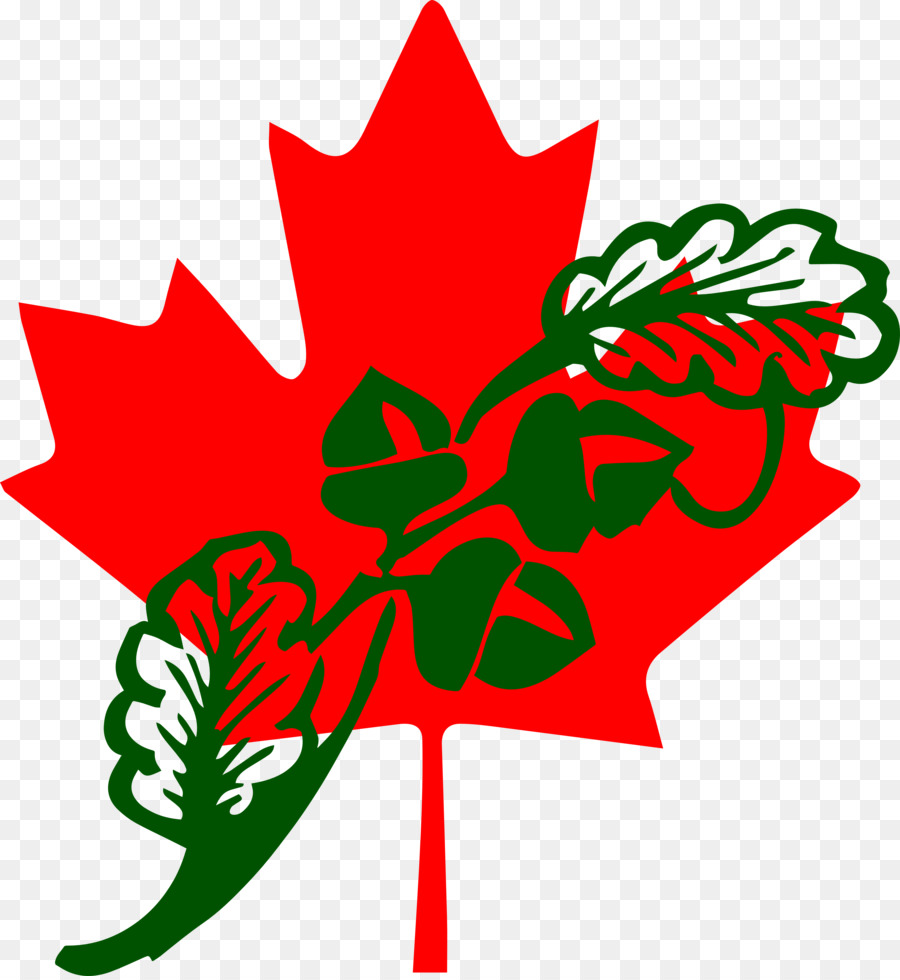 Flag of Canada Maple leaf Canadian Red Ensign - Canada png download - 4254*4614 - Free Transparent Canada png Download.