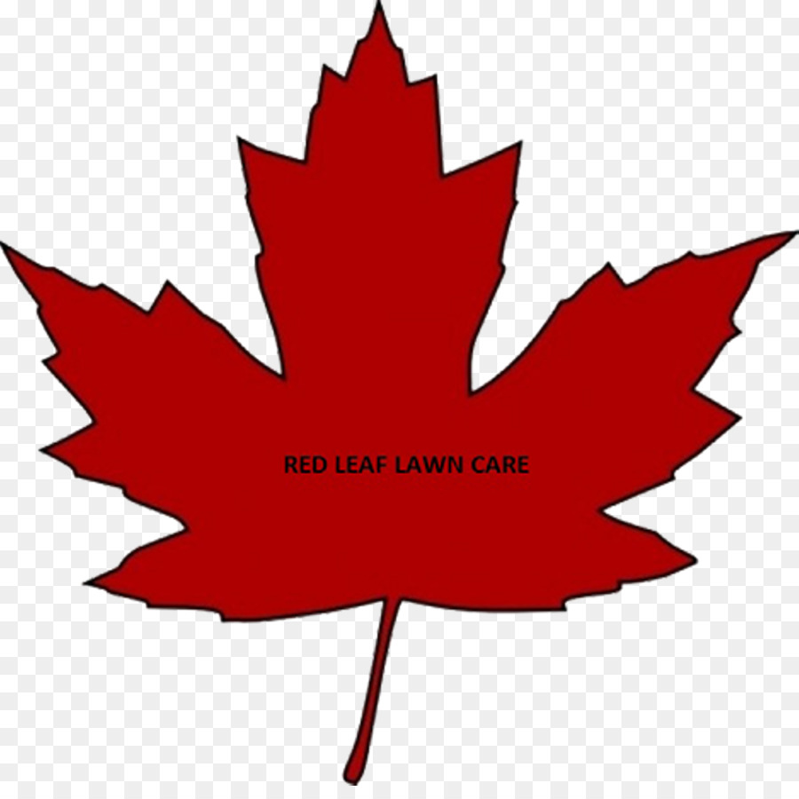 Flag of Canada Maple leaf - Canada png download - 1920*1887 - Free Transparent Canada png Download.