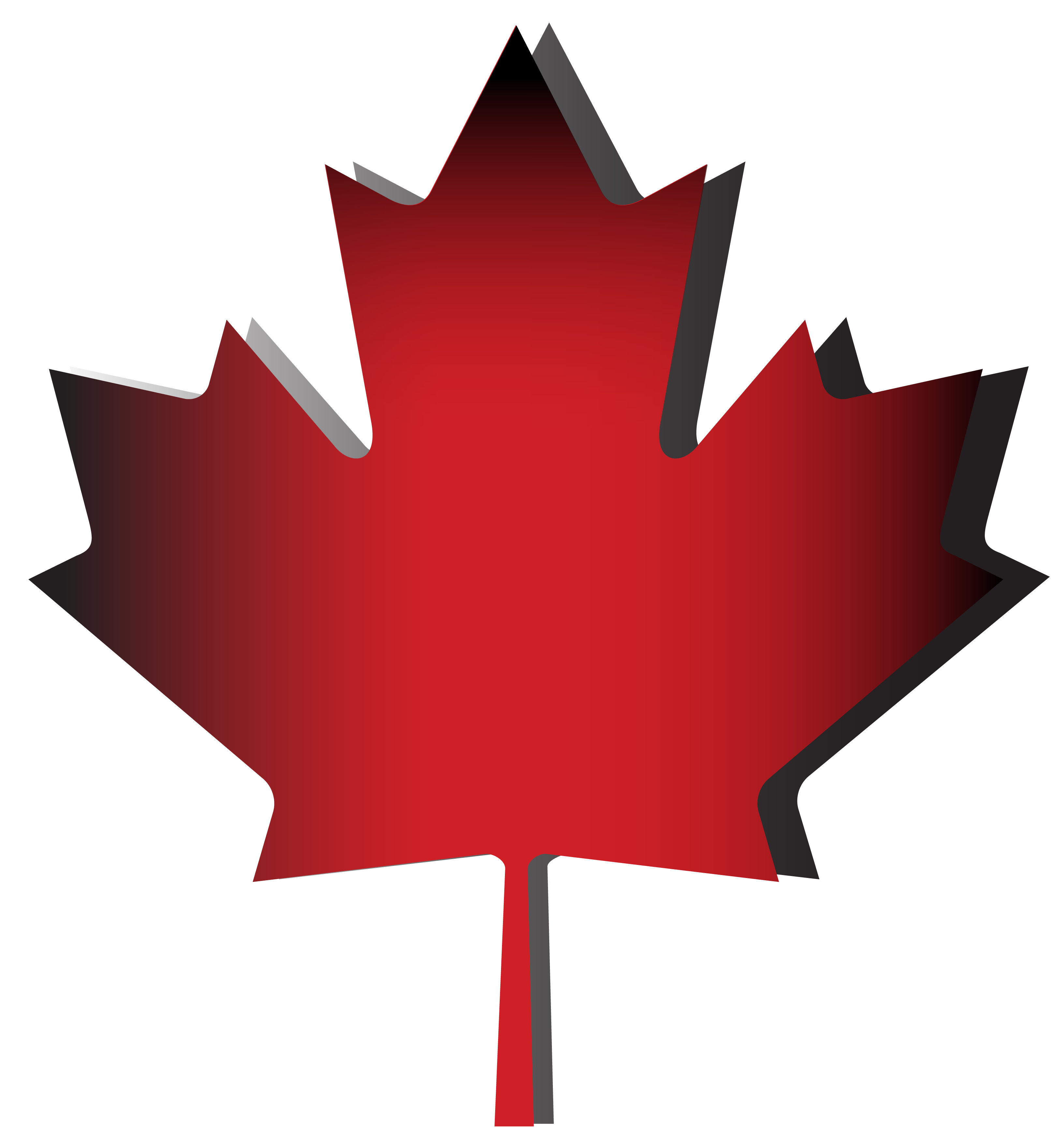 Лист канадского клена. Кленовый лист на флаге Канады. Кленовый лист канала флаг. Символ Канады кленовый лист. Клен на флаге Канады.