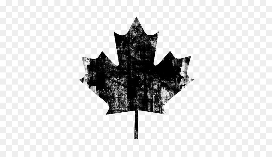 Flag of Canada Maple leaf - maple leaf background png download - 512*512 - Free Transparent Canada png Download.