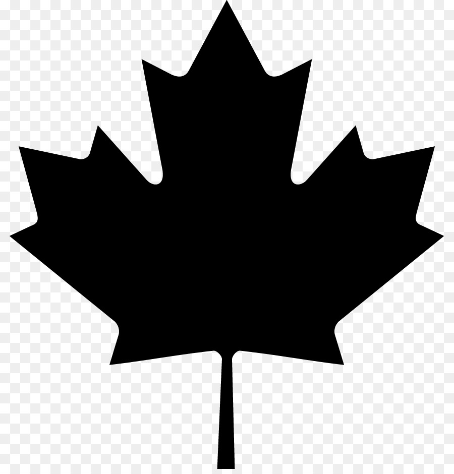 Flag of Canada Maple leaf Clip art - disposable vector png download - 861*930 - Free Transparent Canada png Download.