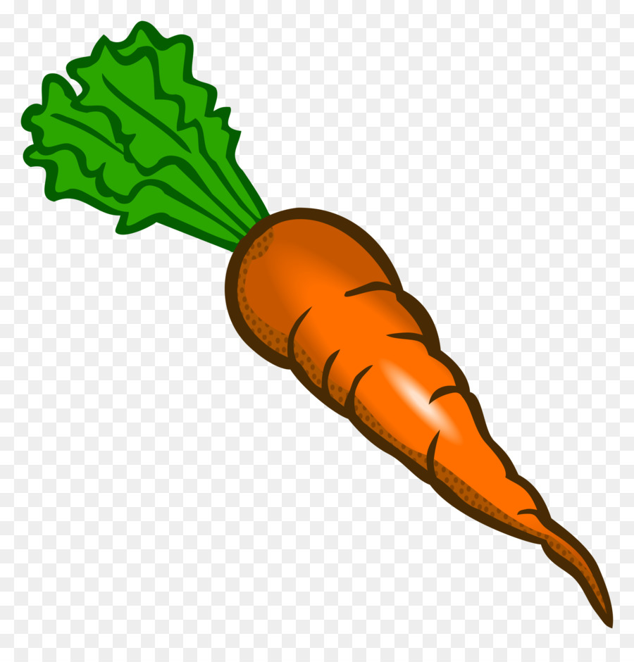 Carrot Food Vegetable Clip art - drawing carrot png download - 2342*2400 - Free Transparent Carrot png Download.