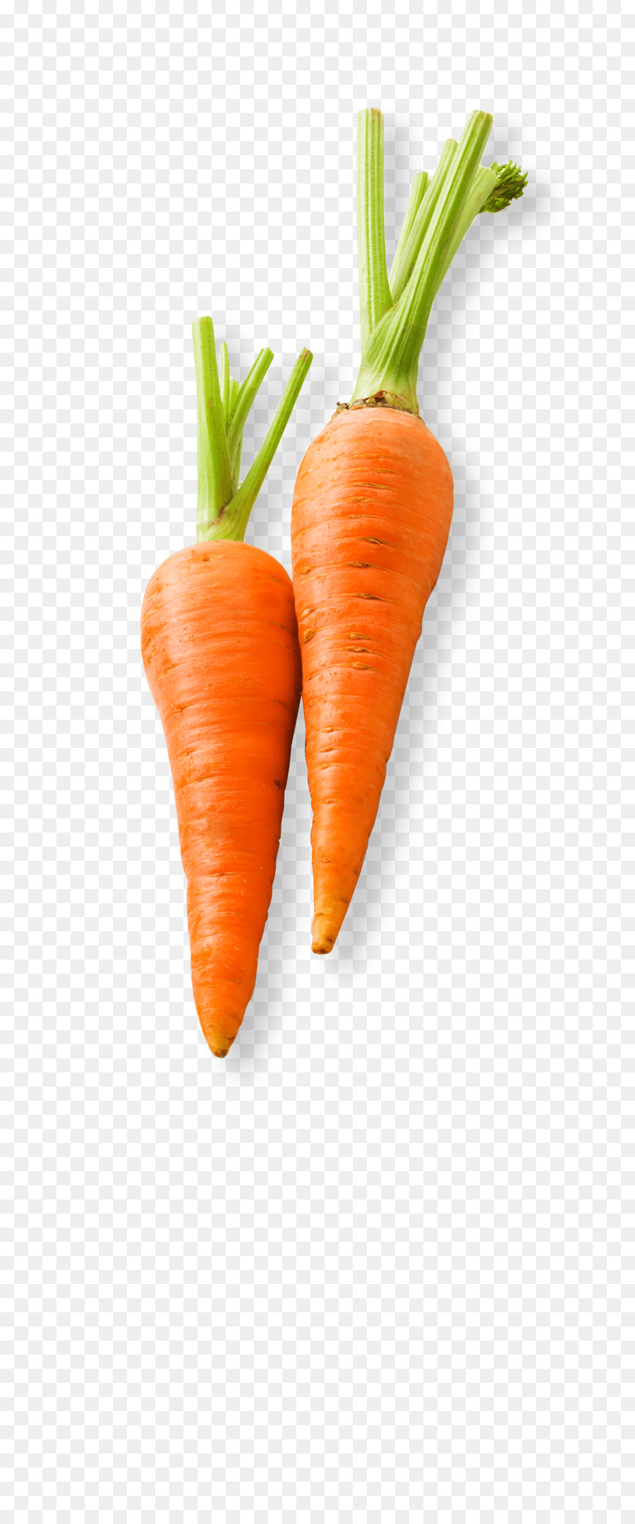 Baby carrot Vegetable Food Carrot cake - carrot png download - 2400*5721 - Free Transparent Carrot png Download.