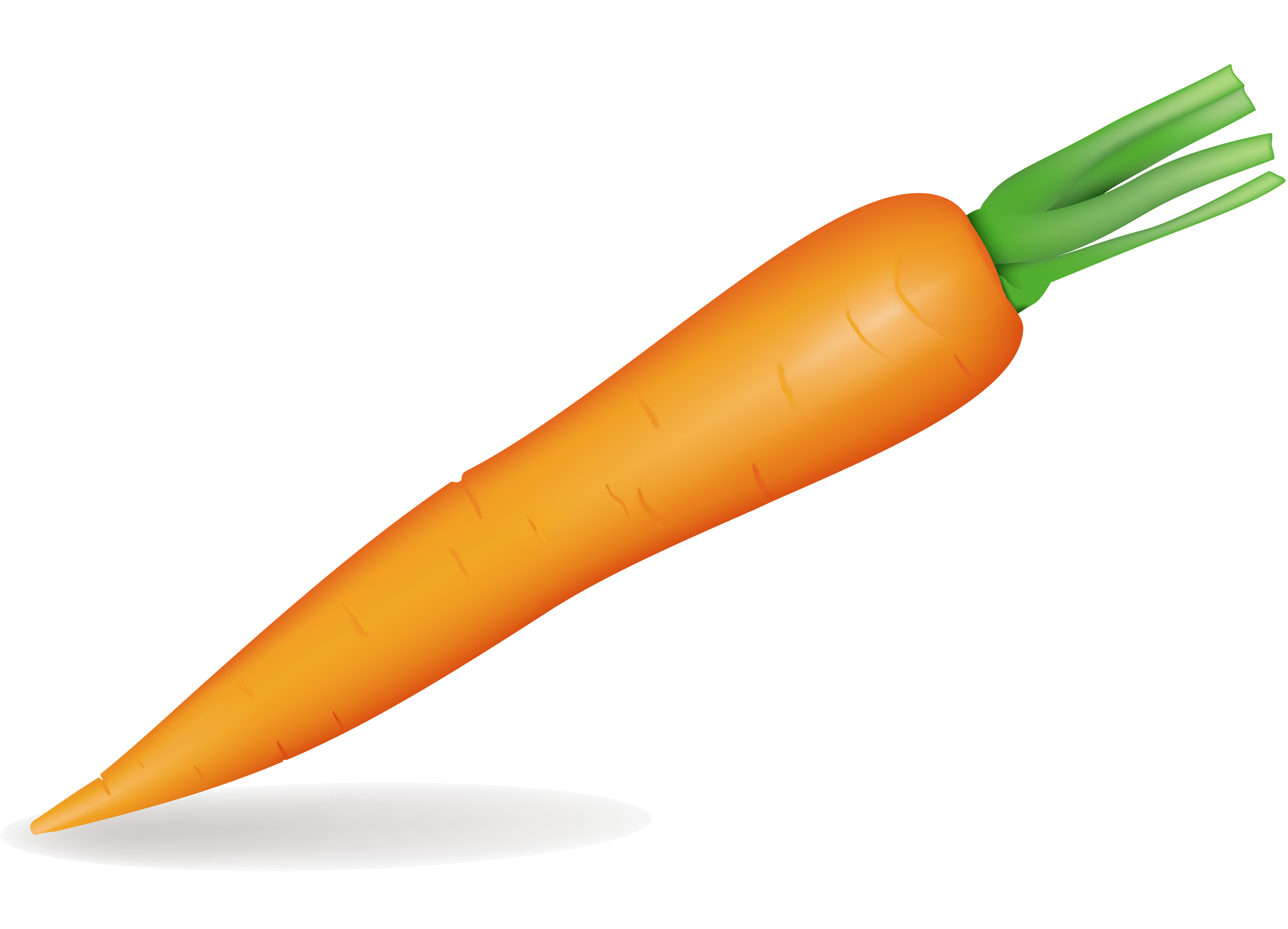 Carrot vegetable. Овощи по отдельности. Овощи для детей на прозрачном фоне. Овощи морковь. Овощи для детей по отдельности.