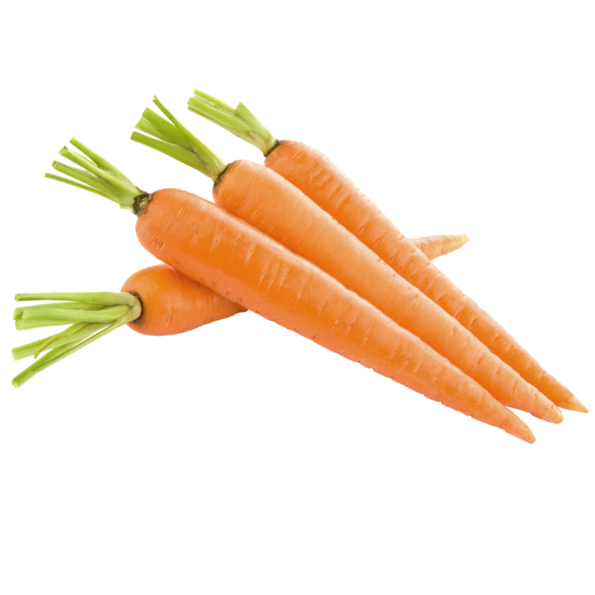 Carrot vegetable. Морковь. Морковь на прозрачном фоне. Морковь на белом фоне.