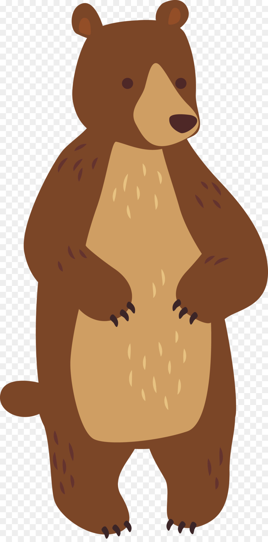 Bear Cartoon Adobe Illustrator - Bear cartoon design png download - 1601*3218 - Free Transparent  png Download.