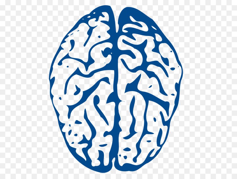 Blue Brain Project Clip art - Animated Brain Cliparts png download - 1600*1200 - Free Transparent  png Download.