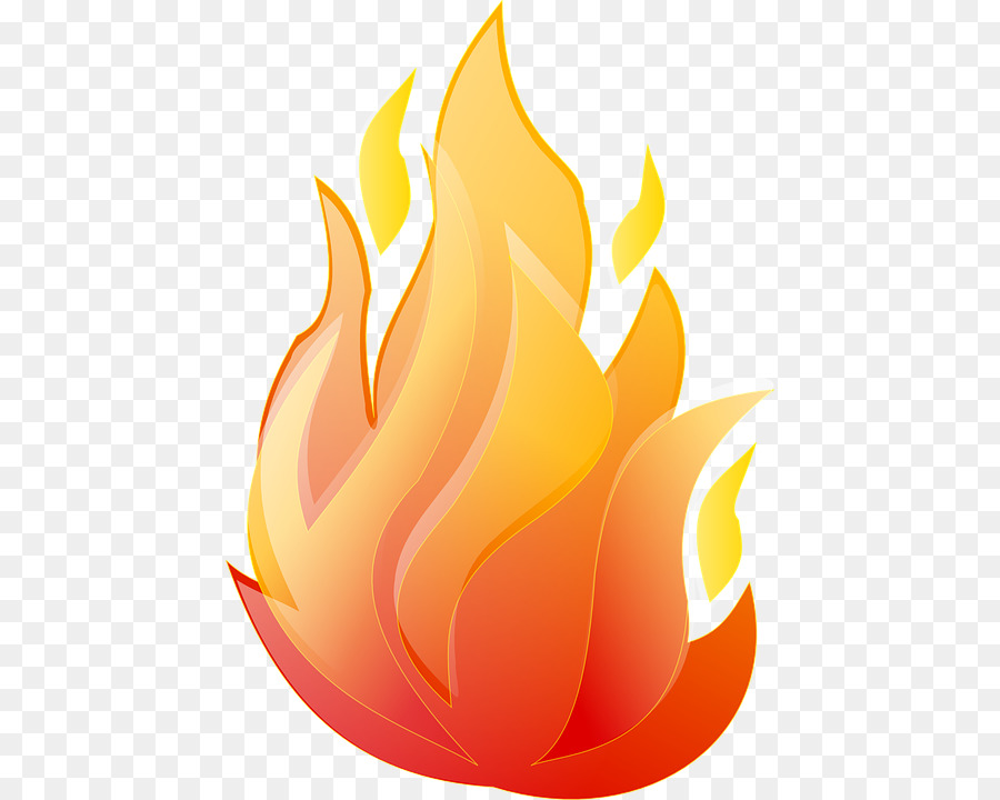 Flame Animation Clip art - flame png download - 494*720 - Free Transparent Flame png Download.