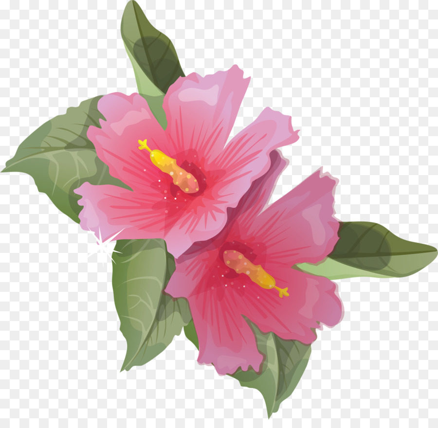 Hibiscus Animation Flower Clip art - Flowers png download - 1200*1150 - Free Transparent Hibiscus png Download.