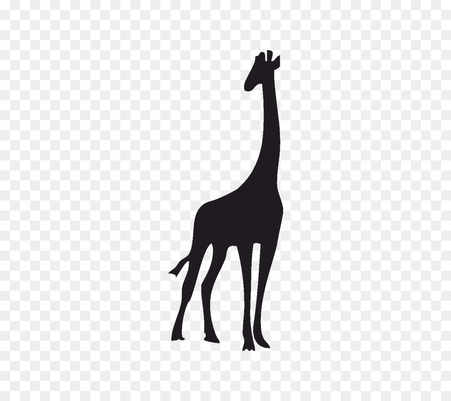 Giraffe Wall decal Silhouette - giraffe png download - 800*800 - Free Transparent Giraffe png Download.