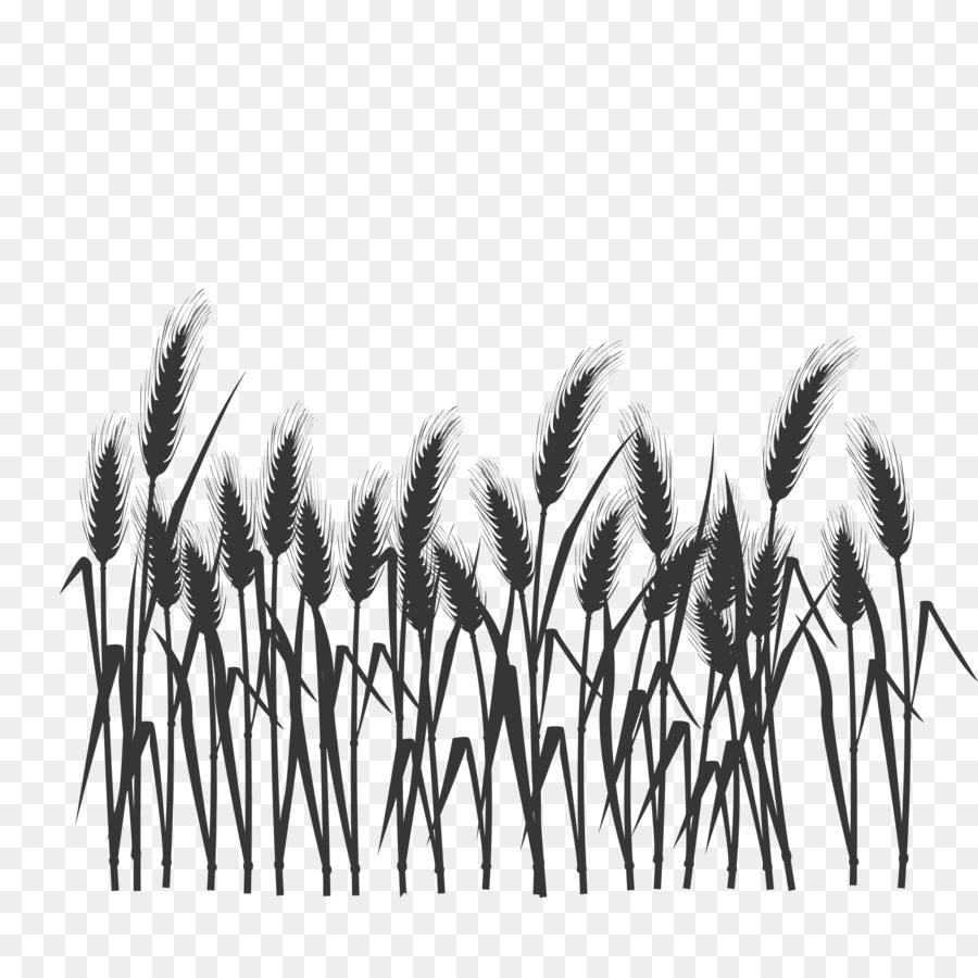 Silhouette Black and white - Silhouette of wheat field png download - 2126*2126 - Free Transparent Silhouette png Download.
