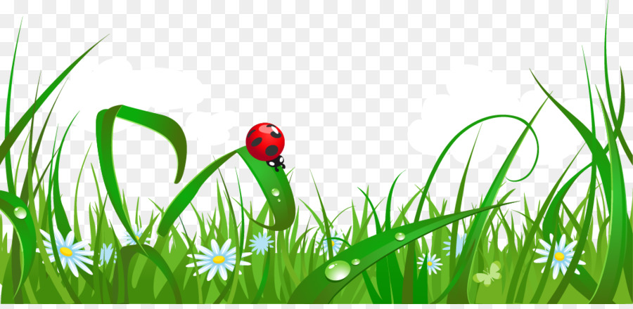 Poster Vexel - Cartoon fresh spring grass png download - 1063*511 - Free Transparent Poster png Download.