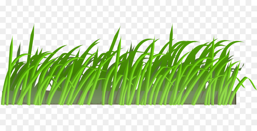 Lawn Mowers Animation Clip art - grass png download - 1920*960 - Free Transparent Lawn png Download.