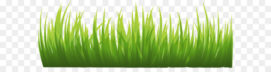 Animation Icon - grass png image, green grass PNG picture png download - 3059*1064 - Free Transparent Lawn png Download.