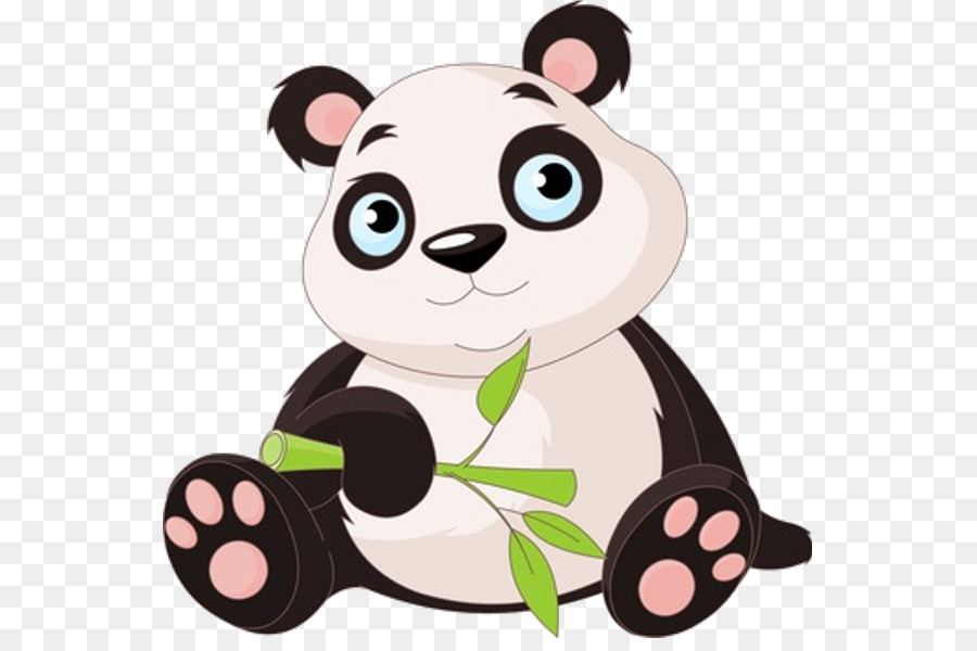 Giant panda Bear Baby Pandas Clip art - bear png download - 600*600 - Free Transparent  png Download.