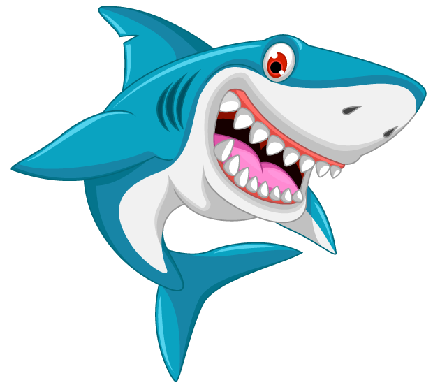 Shark Drawing Cartoon Clip art - sharks png download - 620*561 - Free ...
