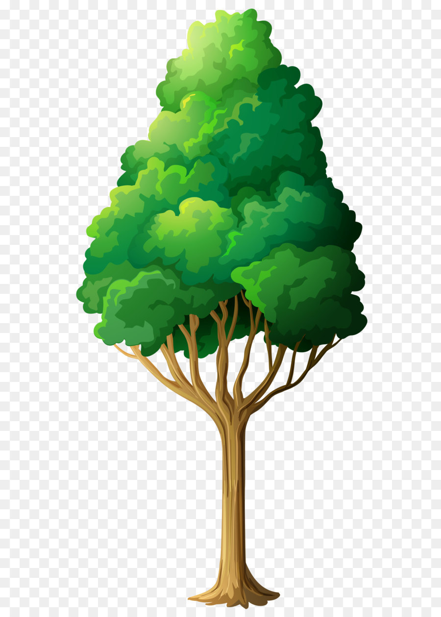 Clip art - Green Tree PNG Clipart png download - 2648*5072 - Free Transparent Tree png Download.