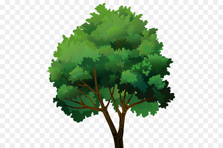 Tree Pine Clip art - tree png download - 532*600 - Free Transparent Tree png Download.