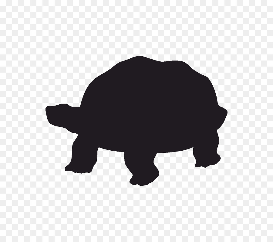 Teenage Mutant Ninja Turtles Silhouette Tortoise Stencil - turtle png download - 800*800 - Free Transparent Turtle png Download.