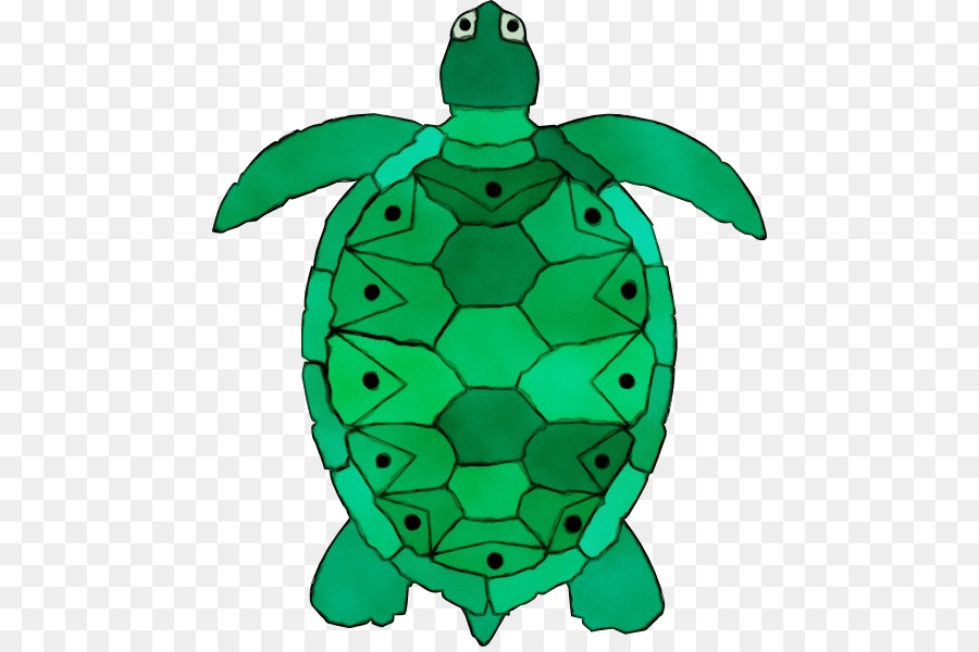 Sea turtle Clip art Free content Openclipart -  png download - 510*595 - Free Transparent Turtle png Download.