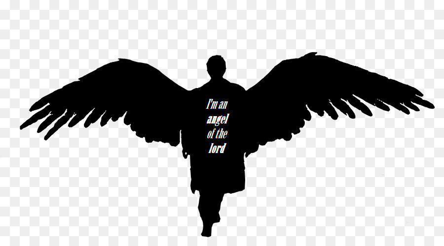 Castiel Dean Winchester Sam Winchester Crowley Angel - angel png download - 900*500 - Free Transparent Castiel png Download.