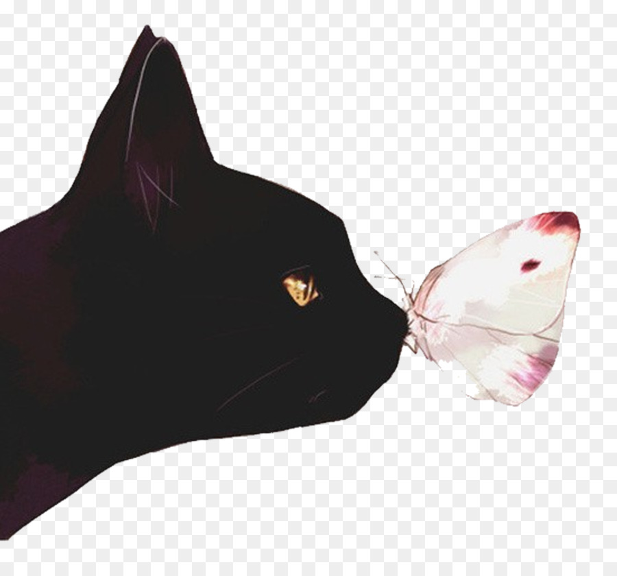 Black cat Kitten Butterfly Illustration - Cat and butterfly png download - 1890*1739 - Free Transparent Cat png Download.
