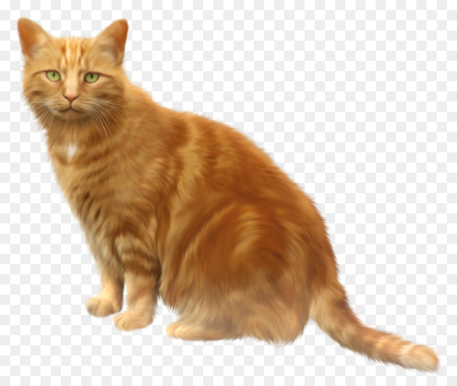 Cat Kitten Clip art - cats clipart png download - 1253*1042 - Free Transparent Cat png Download.