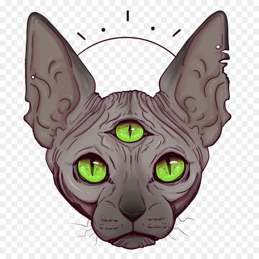 Whiskers Korat Sphynx cat Kitten Domestic short-haired cat - All seeing eye png download - 894*894 - Free Transparent Whiskers png Download.