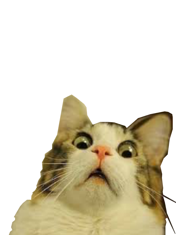 Cat Meme Face Png The Images Have Been Used To Create Videos In Which ...