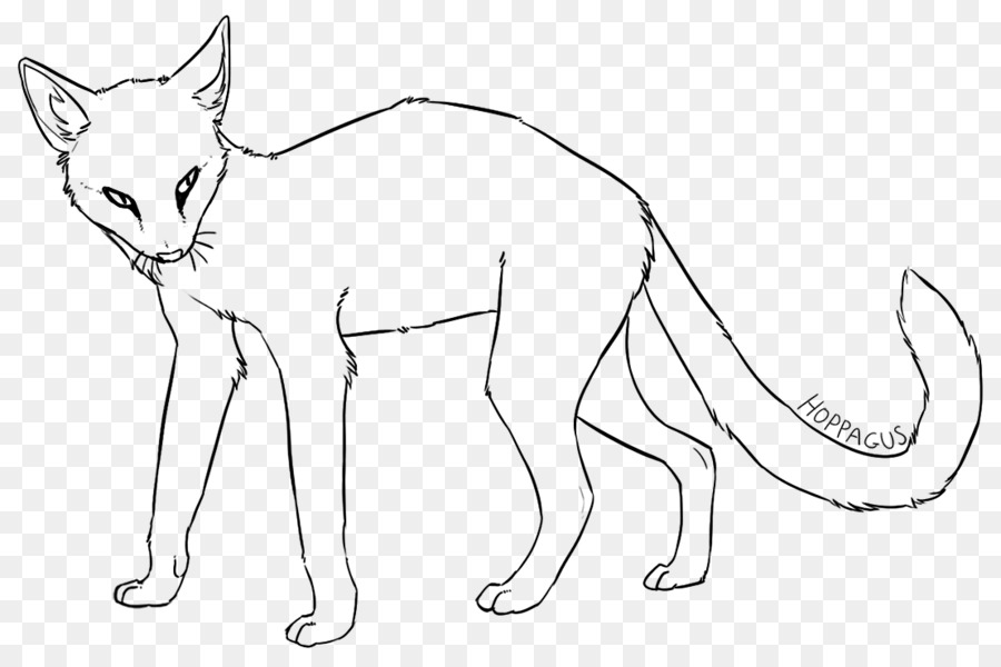Whiskers Line art Cat Tail Red fox - Cat png download - 900*596 - Free Transparent Whiskers png Download.