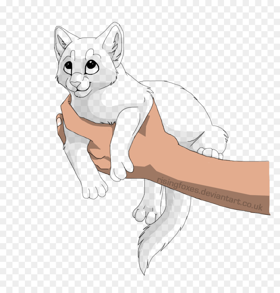 Kitten Whiskers Line art Drawing - kitten png download - 1028*1052 - Free Transparent Kitten png Download.
