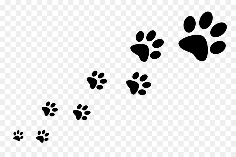 Dog walking Pet sitting Cat - footprints png download - 1920*1270 - Free Transparent Dog png Download.