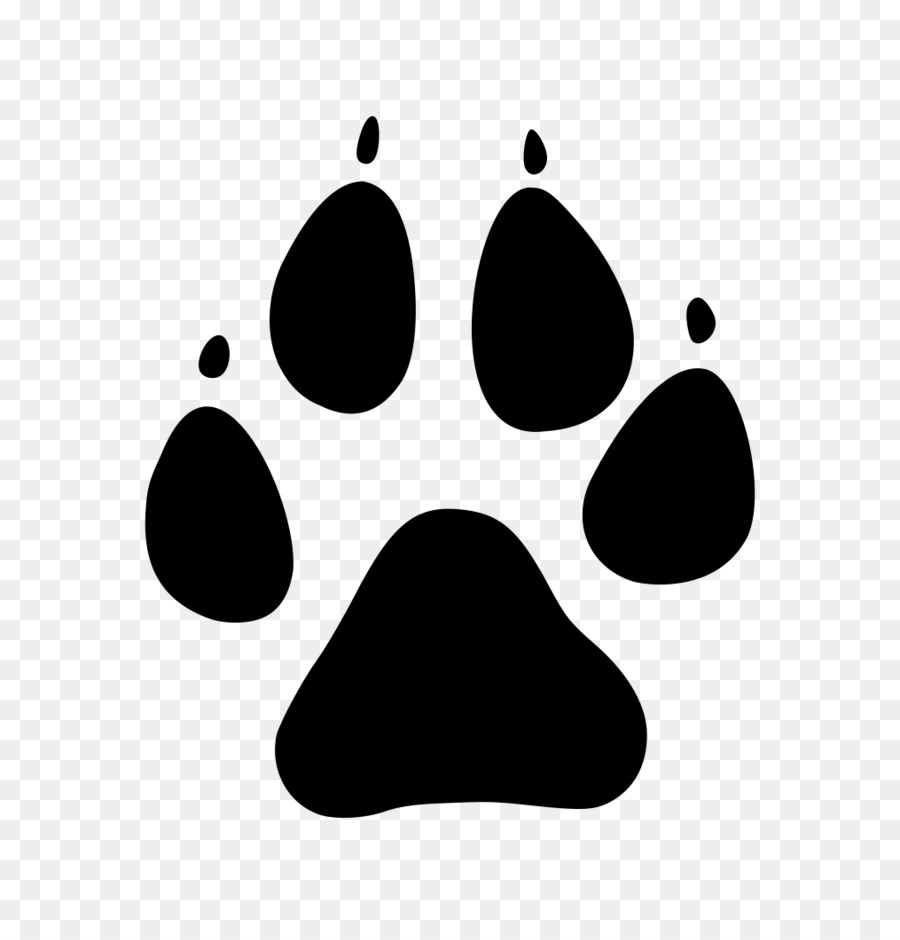 Cat Dog Cutie Mark Crusaders Mt Vernon Animal Shelter Paw - leopard print png download - 1015*1053 - Free Transparent Cat png Download.