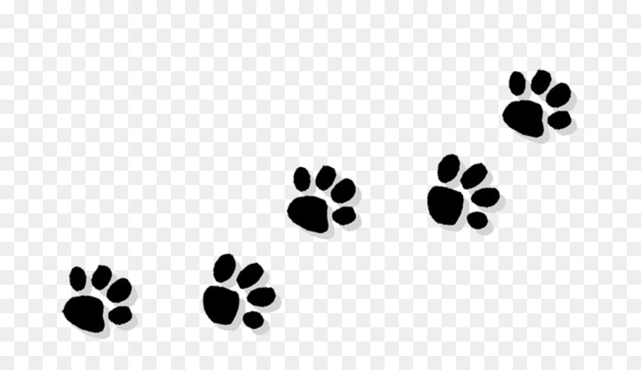 Cat Paw Bulldog Puppy Clip art - Cat png download - 770*513 - Free Transparent Cat png Download.