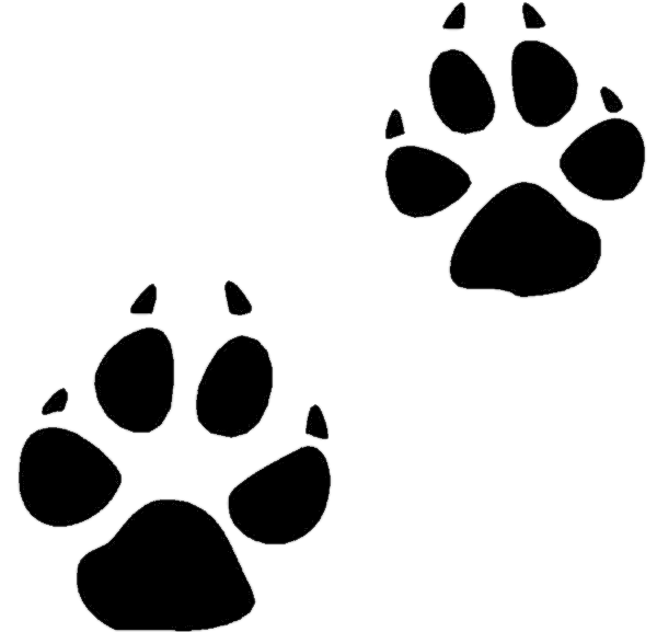 Animal track Tracking Footprint Clip art - ready to print png download