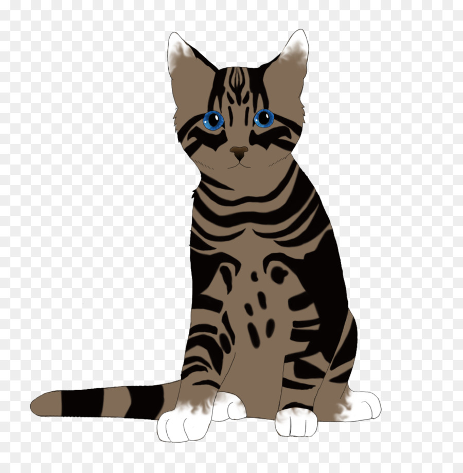 Tabby cat Domestic short-haired cat American Shorthair Toyger California spangled - Tabby Cat Coloring Pages png download - 877*910 - Free Transparent TABBY Cat png Download.