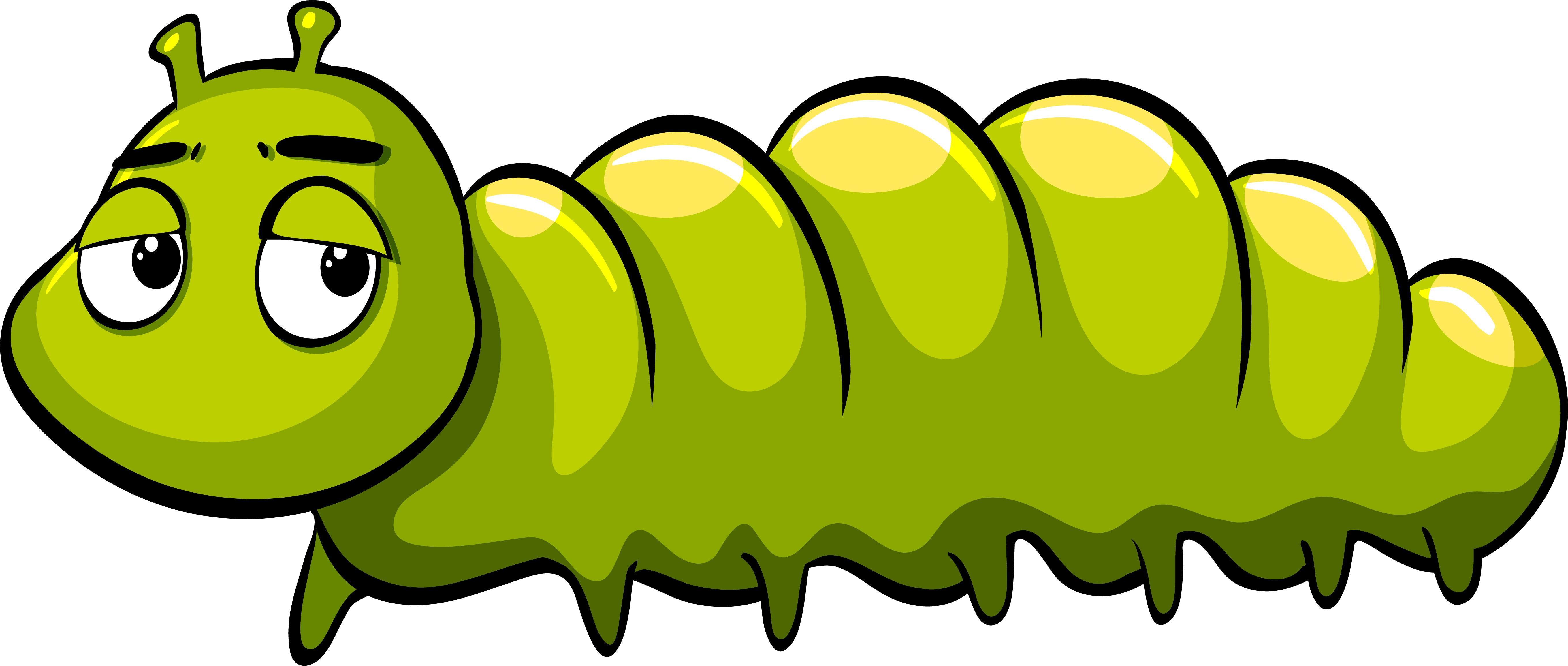 Royalty-free Caterpillar Illustration - Green cartoon caterpillar png ...