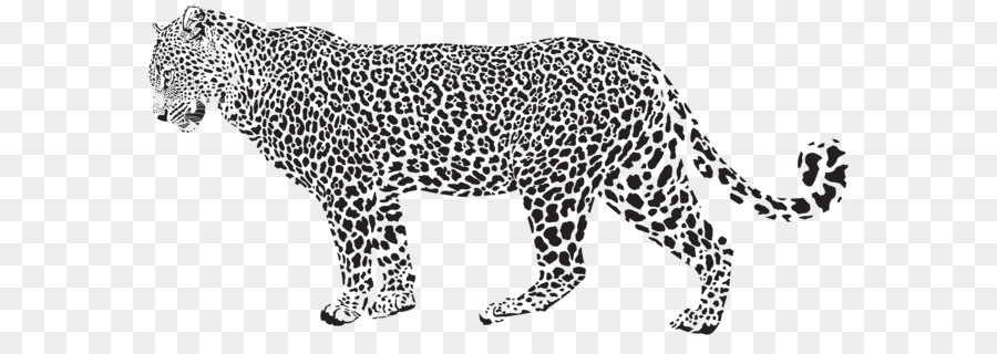 Snow leopard Cheetah Clip art - Jaguar Silhouette PNG Transparent Clip Art Image png download - 8000*3773 - Free Transparent Leopard png Download.