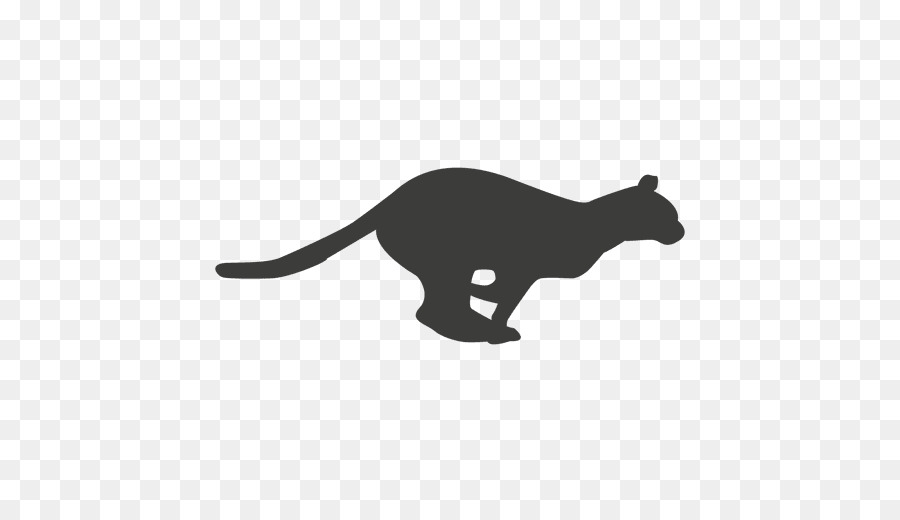 Cat Cheetah Felidae Kitten - sequntial vector png download - 512*512 - Free Transparent Cat png Download.
