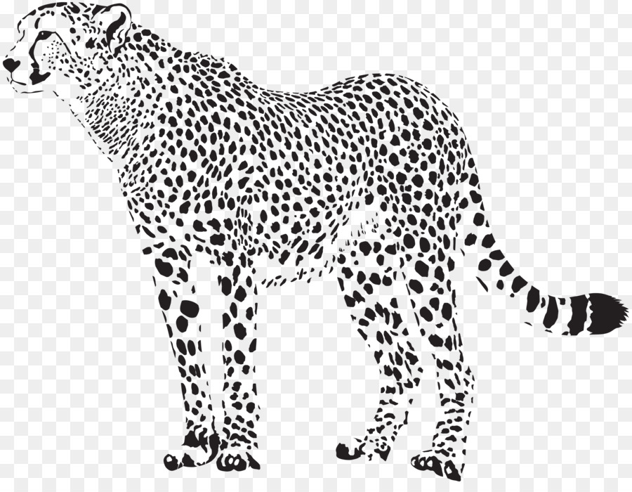 Cheetah Leopard Clip art - Cheetah Silhouette Cliparts png download - 8000*6118 - Free Transparent Cheetah png Download.