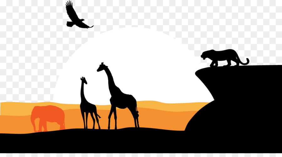 South Africa Graphic design - African Cheetah Giraffe Eagle Grassland Vision png download - 1375*745 - Free Transparent Africa png Download.