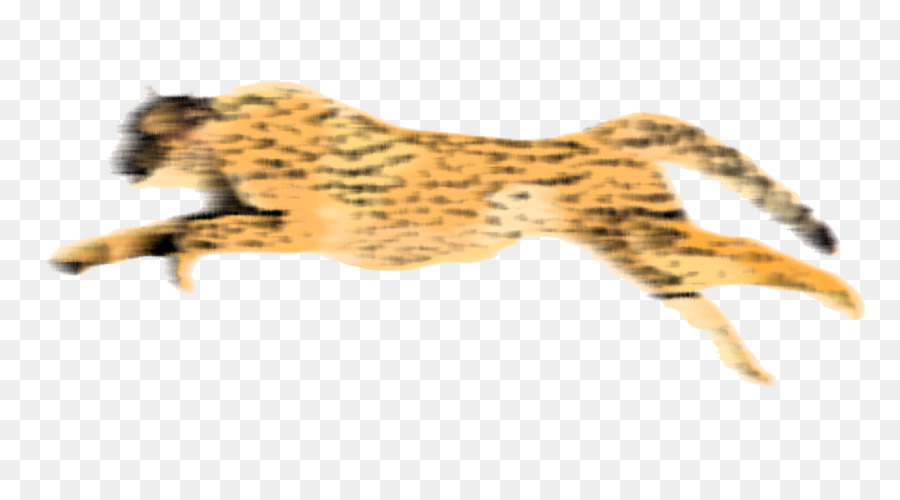 Cheetah Portable Network Graphics Clip art Desktop Wallpaper Transparency - cheetah png download - 1024*548 - Free Transparent Cheetah png Download.