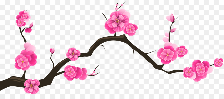 Cherry blossom Branch Tree Almond - sprin png download - 6230*2705 - Free Transparent Cherry Blossom png Download.
