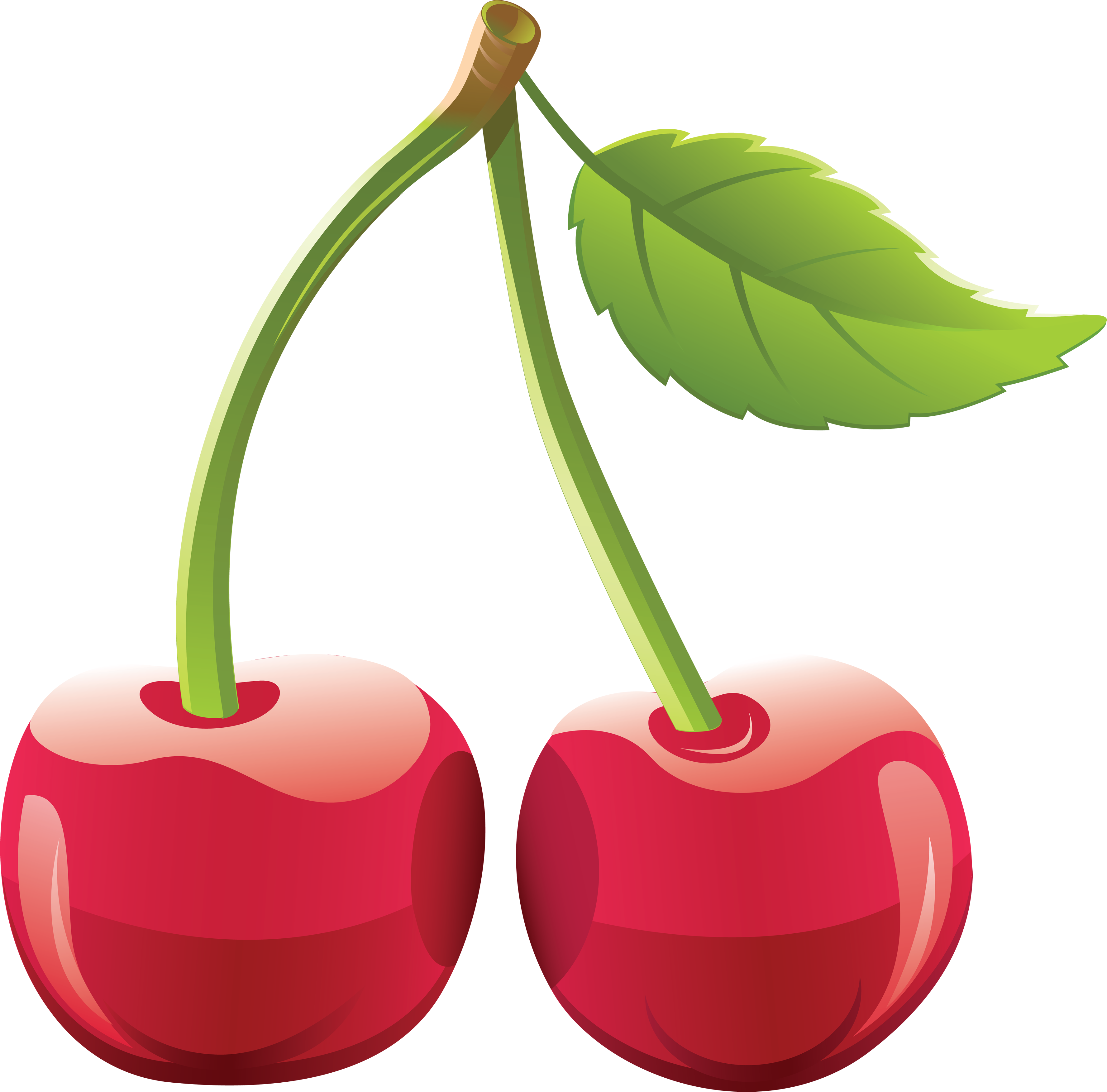 Cherry Clip art - cherry PNG image png download - 3553*3504 - Free ...