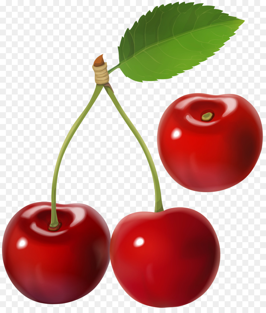 Barbados Cherry Clip art - Cerry png download - 6854*8000 - Free Transparent Barbados Cherry png Download.