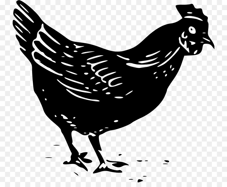 Chicken meat Buffalo wing Clip art - chicken png download - 800*722 - Free Transparent Chicken png Download.