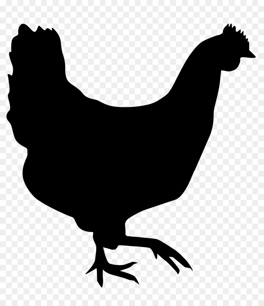 Hen Chicken meat Silhouette Drawing - silhouettes png download - 2360*2700 - Free Transparent Hen png Download.