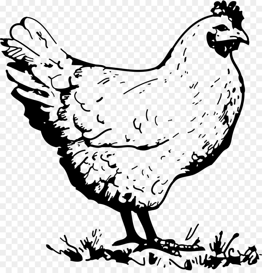 Dorking chicken Chicken meat Clip art - real clipart png download - 2000*2070 - Free Transparent Dorking Chicken png Download.