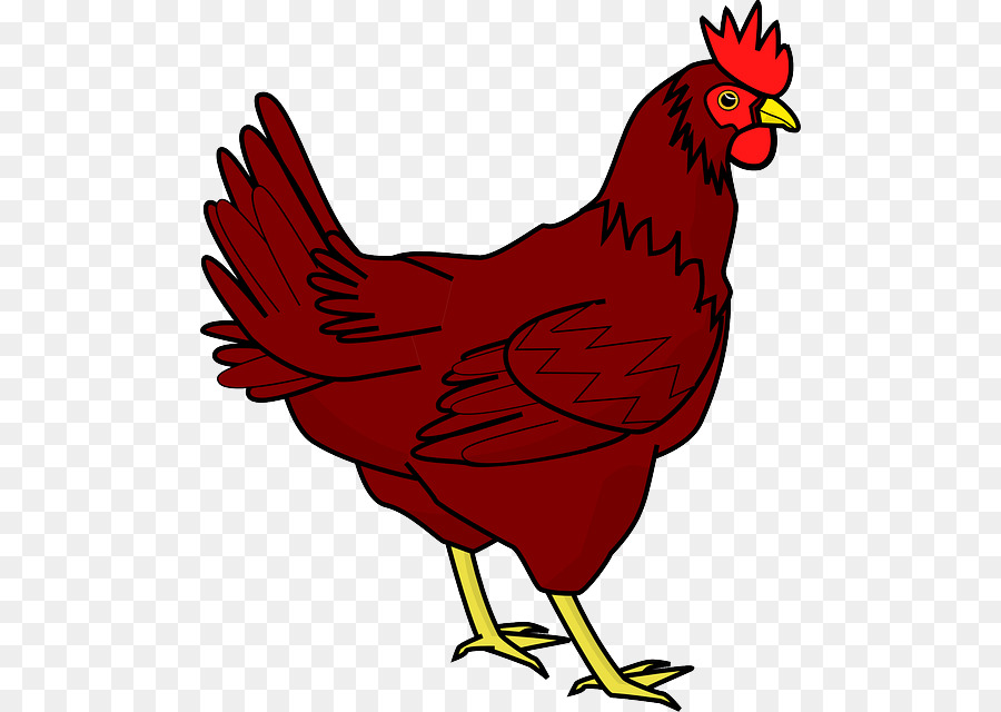 Cochin chicken The Little Red Hen Clip art - Chicken PNG Transparent Image png download - 540*640 - Free Transparent Cochin Chicken png Download.